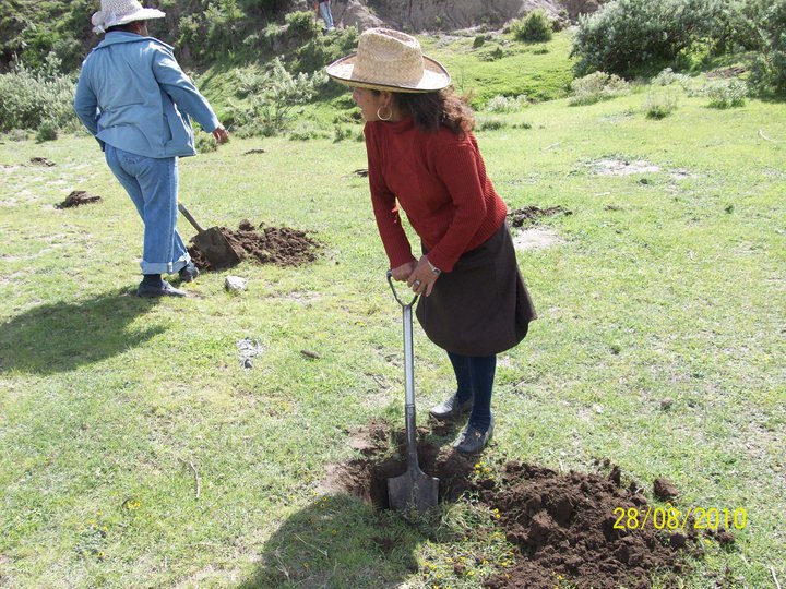 Proyecto CICA 2